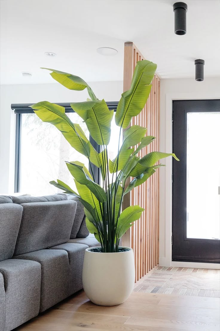 Artificial White Bird of Paradise Plant in Pot