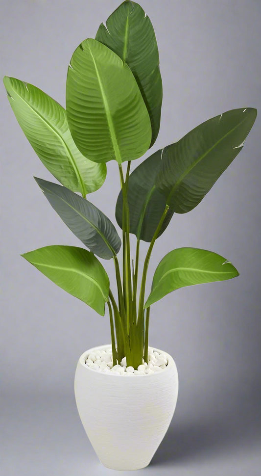 Artificial Bird of Paradise Plant in White Pot (Banana plant with White pot)